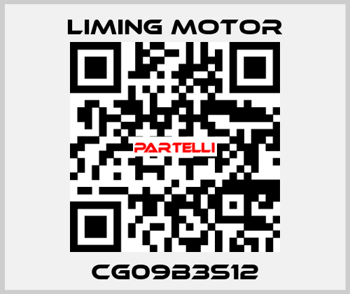 CG09B3S12 Liming Motor