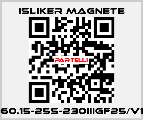GIs-60.15-25S-230IIIGF25/V1474 ISLIKER MAGNETE