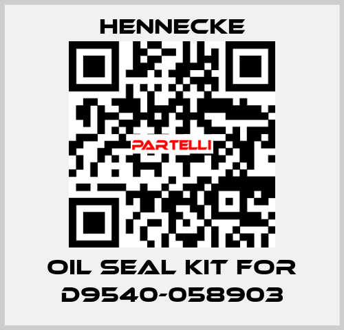 oil seal kit for D9540-058903 Hennecke
