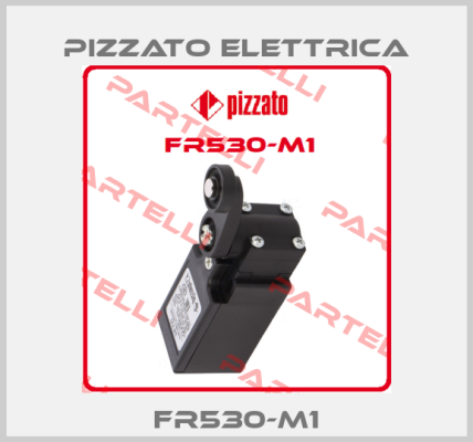 FR530-M1 Pizzato Elettrica