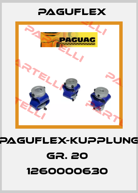 Paguflex-Kupplung Gr. 20  1260000630  Paguflex