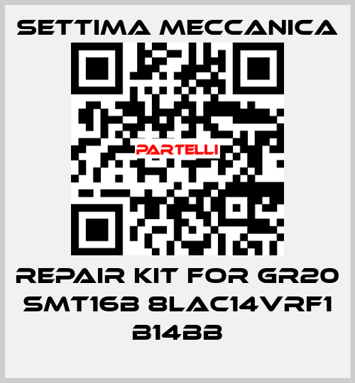 Repair kit for GR20 SMT16B 8LAC14VRF1 B14BB Settima Meccanica