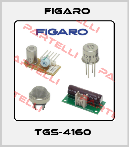 TGS-4160  Figaro