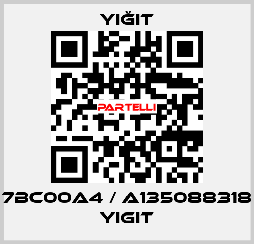 7BC00A4 / A135088318 yigit Yiğit
