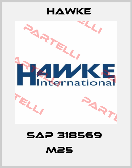 SAP 318569  M25     Hawke