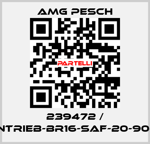 239472 / AMG-Antrieb-BR16-SAF-20-90-01-n=12 AMG Pesch
