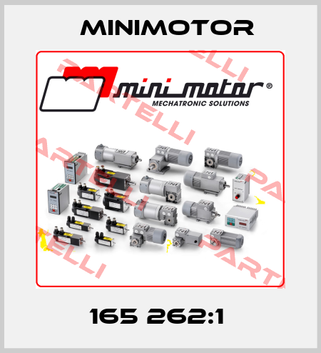 165 262:1  Minimotor