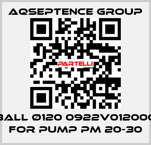BALL ø120 0922V012000 FOR PUMP PM 20-30 AQSEPTENCE GROUP