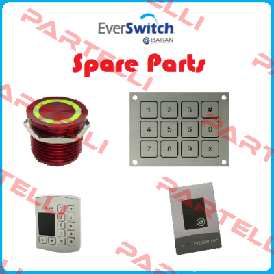 SMA2AAW2N Everswitch
