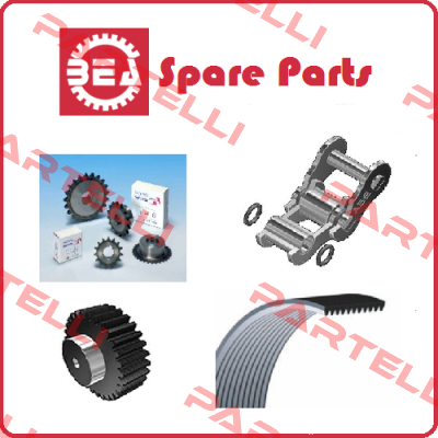 3/8 COR. SEMPL. Z80 BEA Ingranaggi