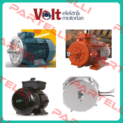 VM 100-4 MM1G1F1402202 Volt Elektrik Motor