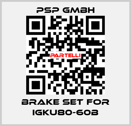 Brake set for IGKU80-60B PSP GmbH
