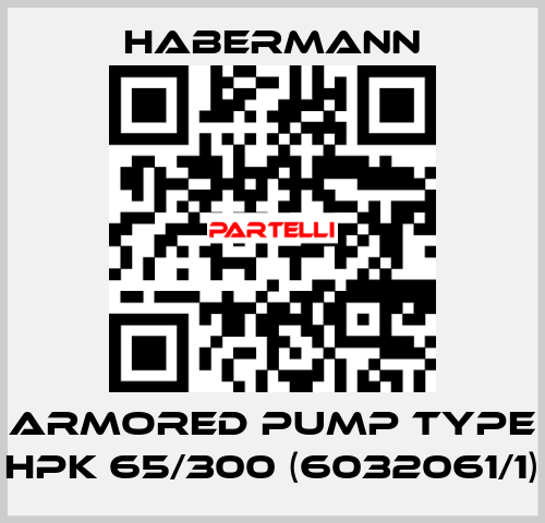 Armored pump type HPK 65/300 (6032061/1) HABERMANN