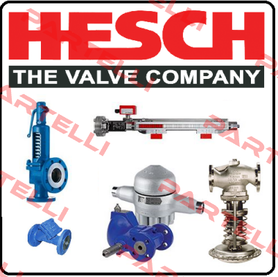 FLS 625002  Hesch