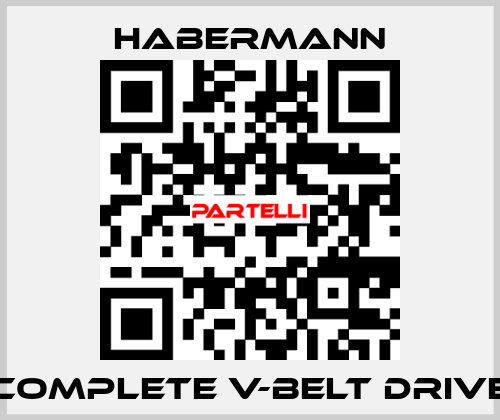 Complete V-belt drive HABERMANN