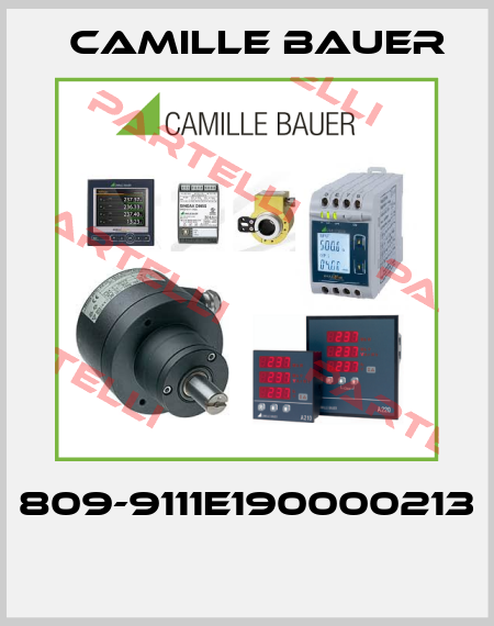 809-9111E190000213  Camille Bauer