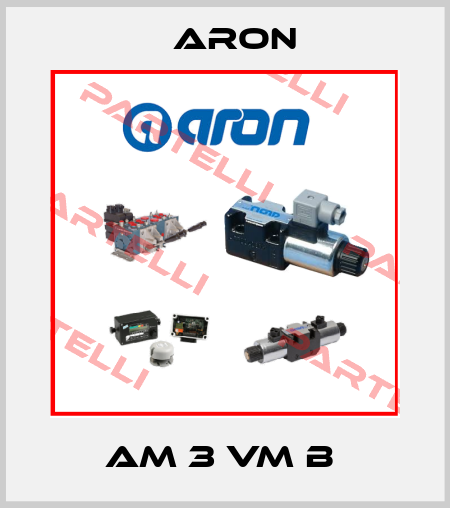 AM 3 VM B  Aron