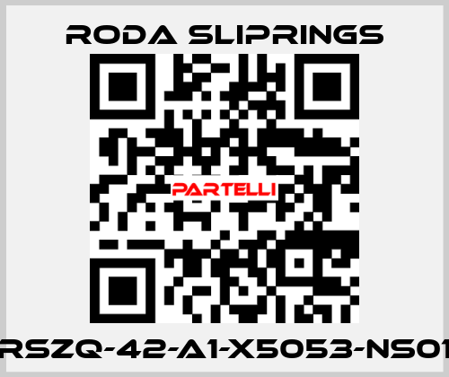 RSZQ-42-A1-X5053-NS01 Roda Sliprings
