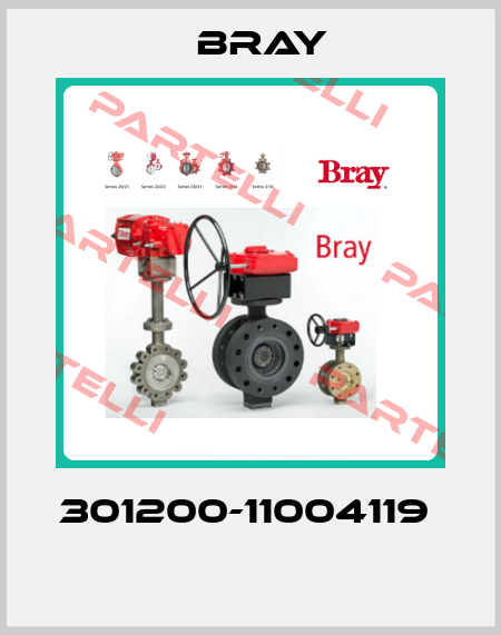 301200-11004119   Bray