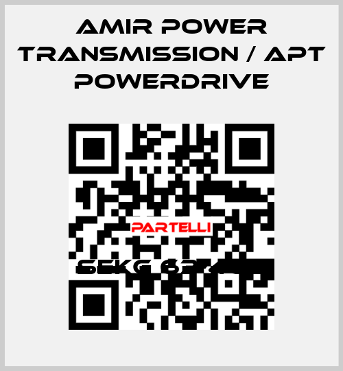 SEKg 63-4C2 Amir Power Transmission / APT Powerdrive