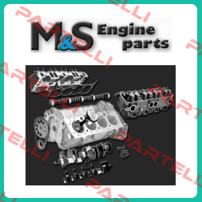 O-ring set for  PAMS1 M & S