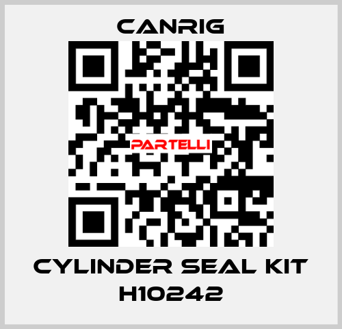 CYLINDER SEAL KIT H10242 Canrig