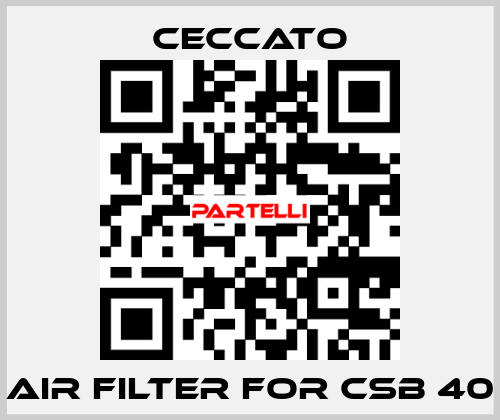 Air Filter for CSB 40 Ceccato