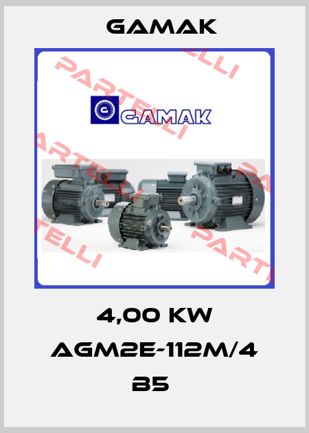 4,00 KW AGM2E-112M/4 B5  Gamak