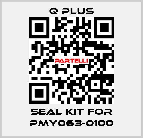 seal kit for PMY063-0100 Q Plus