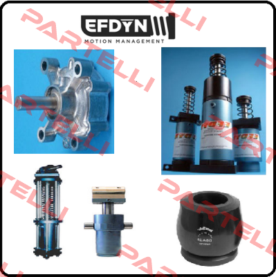 980-4244-4 EFDYN