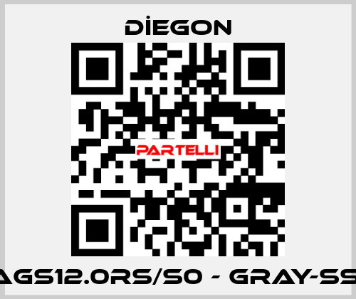 AGS12.0RS/S0 - GRAY-SSI DİEGON