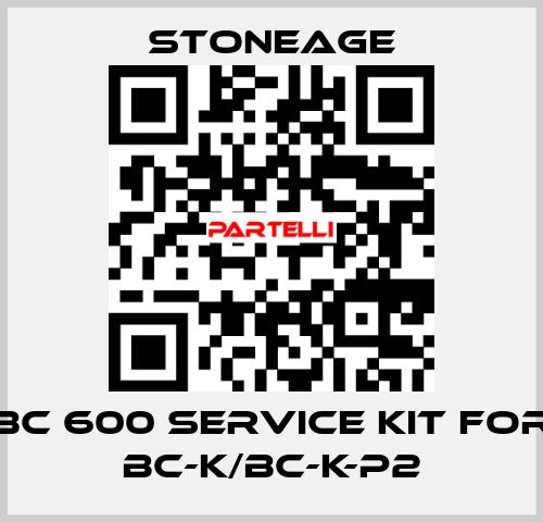 BC 600 Service Kit for BC-K/BC-K-P2 StoneAge