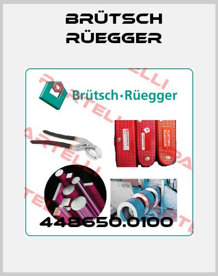 448650.0100  Brütsch Rüegger