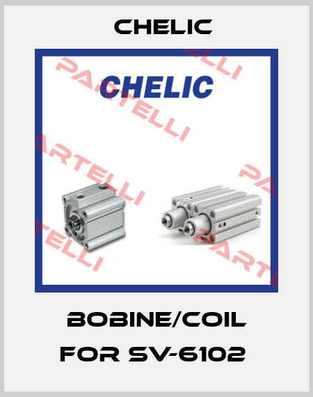 bobine/coil for SV-6102  Chelic