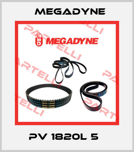 PV 1820L 5   Megadyne