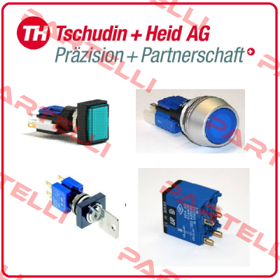 TH511008 000  Tschudin Heid