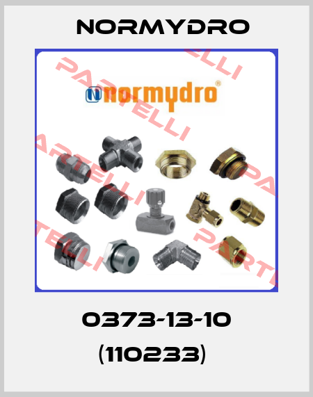 0373-13-10 (110233)  Normydro