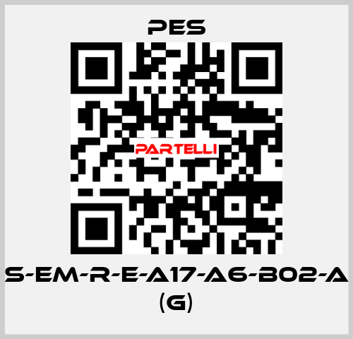 S-EM-R-E-A17-A6-B02-A (G) PES
