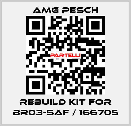 rebuild kit for BR03-SAF / 166705 AMG Pesch