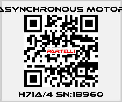 H71A/4 SN:18960 ASYNCHRONOUS MOTOR