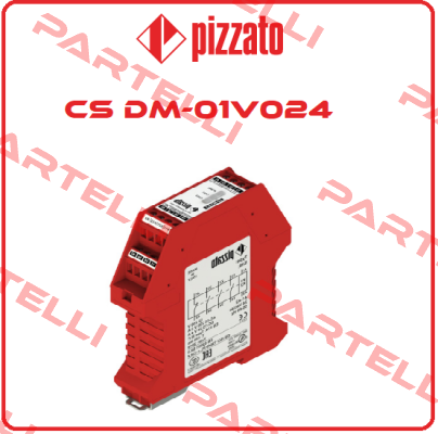 CS DM - 01V024 Pizzato Elettrica