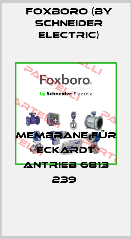 Membrane für Eckardt Antrieb 6813 239  Foxboro (by Schneider Electric)