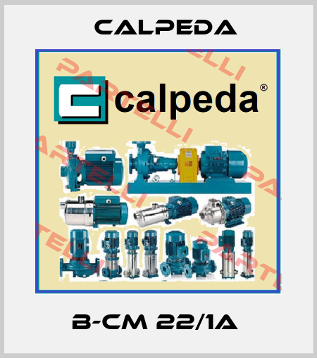 B-CM 22/1A  Calpeda