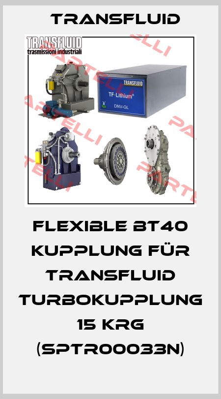 Flexible BT40 Kupplung für Transfluid Turbokupplung 15 KRG (SPTR00033N) Transfluid