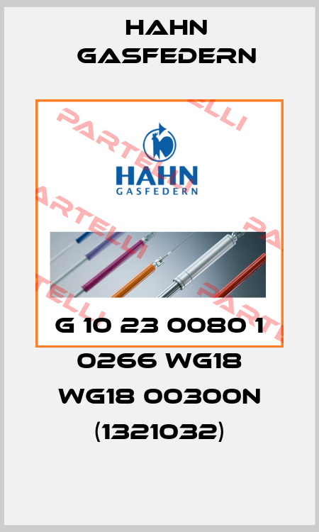G 10 23 0080 1 0266 WG18 WG18 00300N (1321032) Hahn Gasfedern