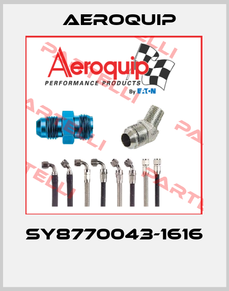 SY8770043-1616  Aeroquip