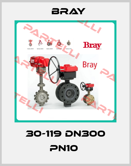 30-119 DN300 PN10  Bray