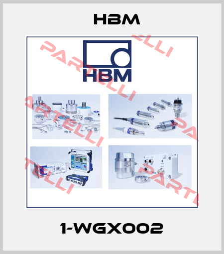 1-WGX002 Hbm