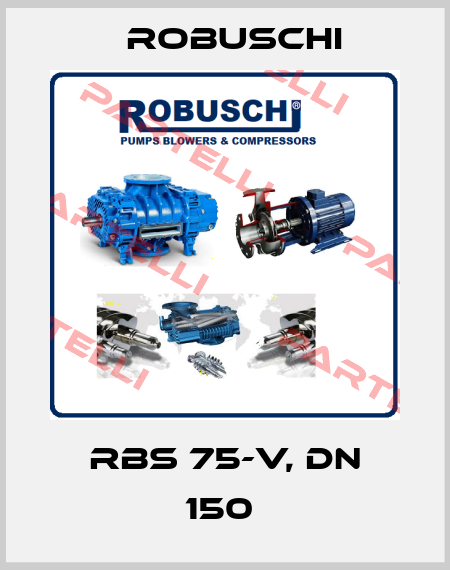 RBS 75-V, DN 150  Robuschi