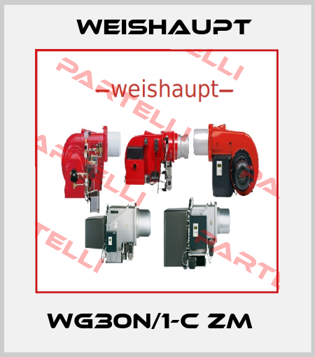 WG30N/1-C ZM   Weishaupt